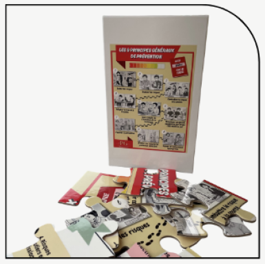 Double puzzle 9 PGP et 20 familles de risques